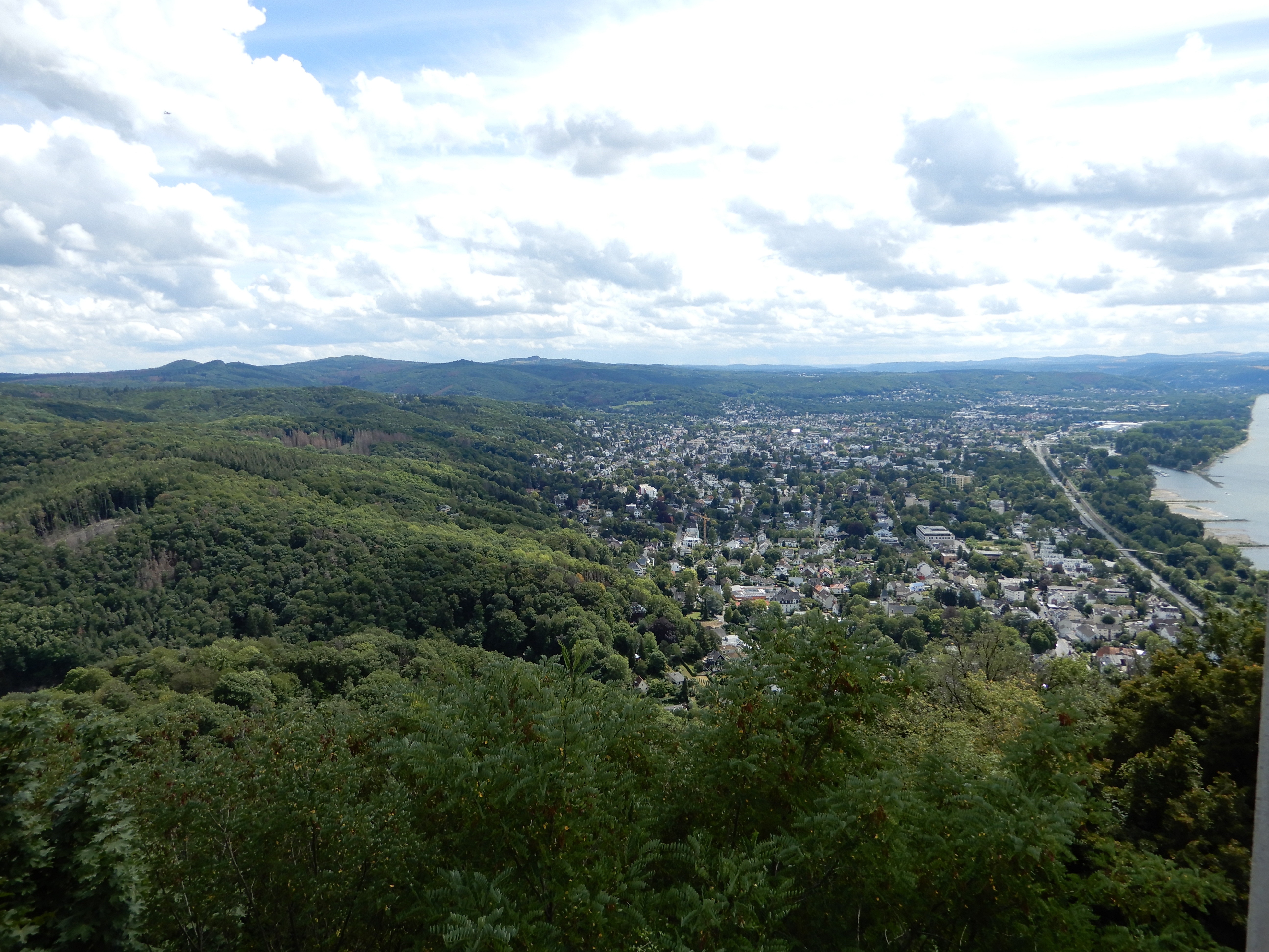 DSCN0202.JPG