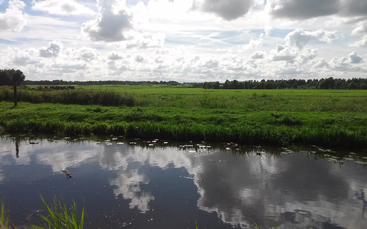 Onderweg langs de Mijdrechtse Zuwe. Een mooi stukje Holland