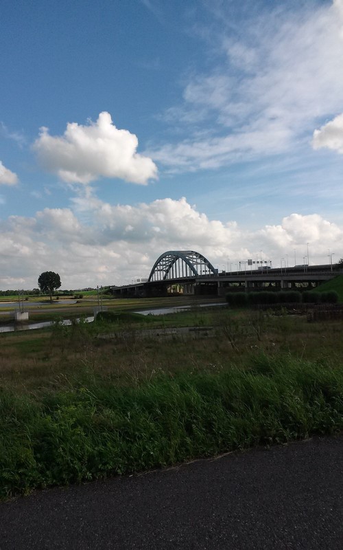 De brug bij Vianen is in zicht.