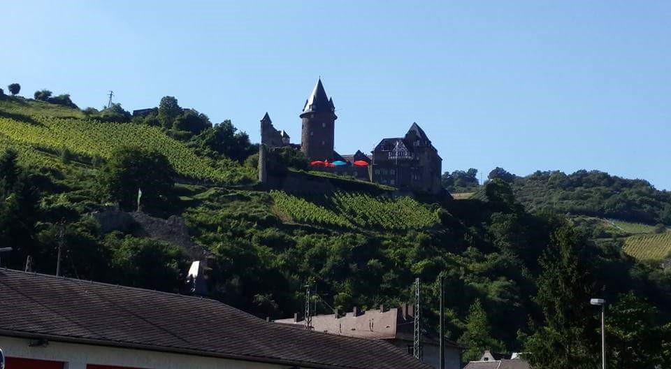 f274.jpg