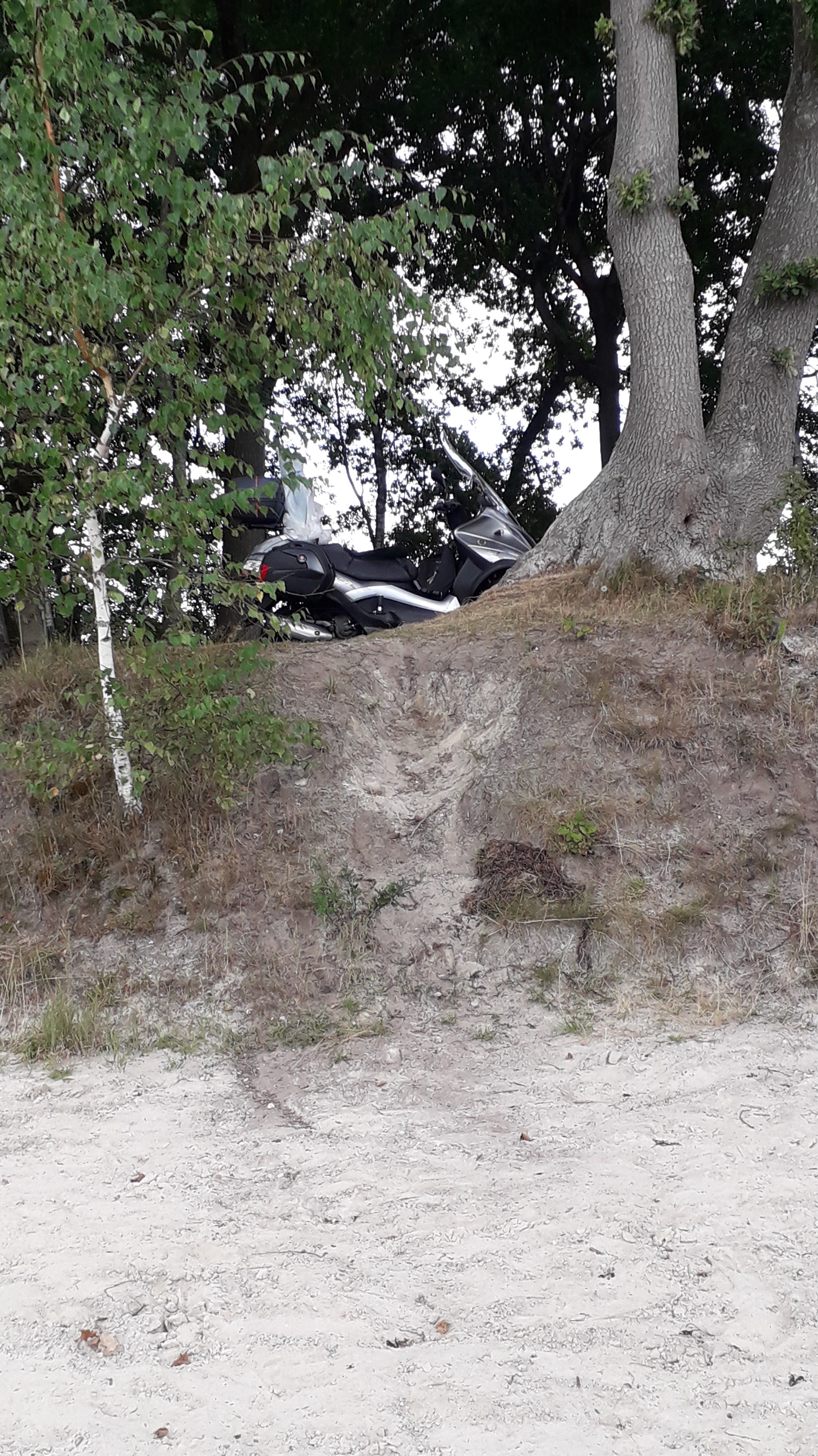 IMG-20220808-WA0017.jpeg