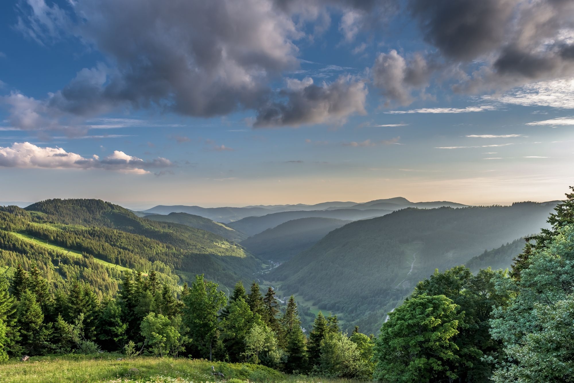 schwarzwald 2.jpg