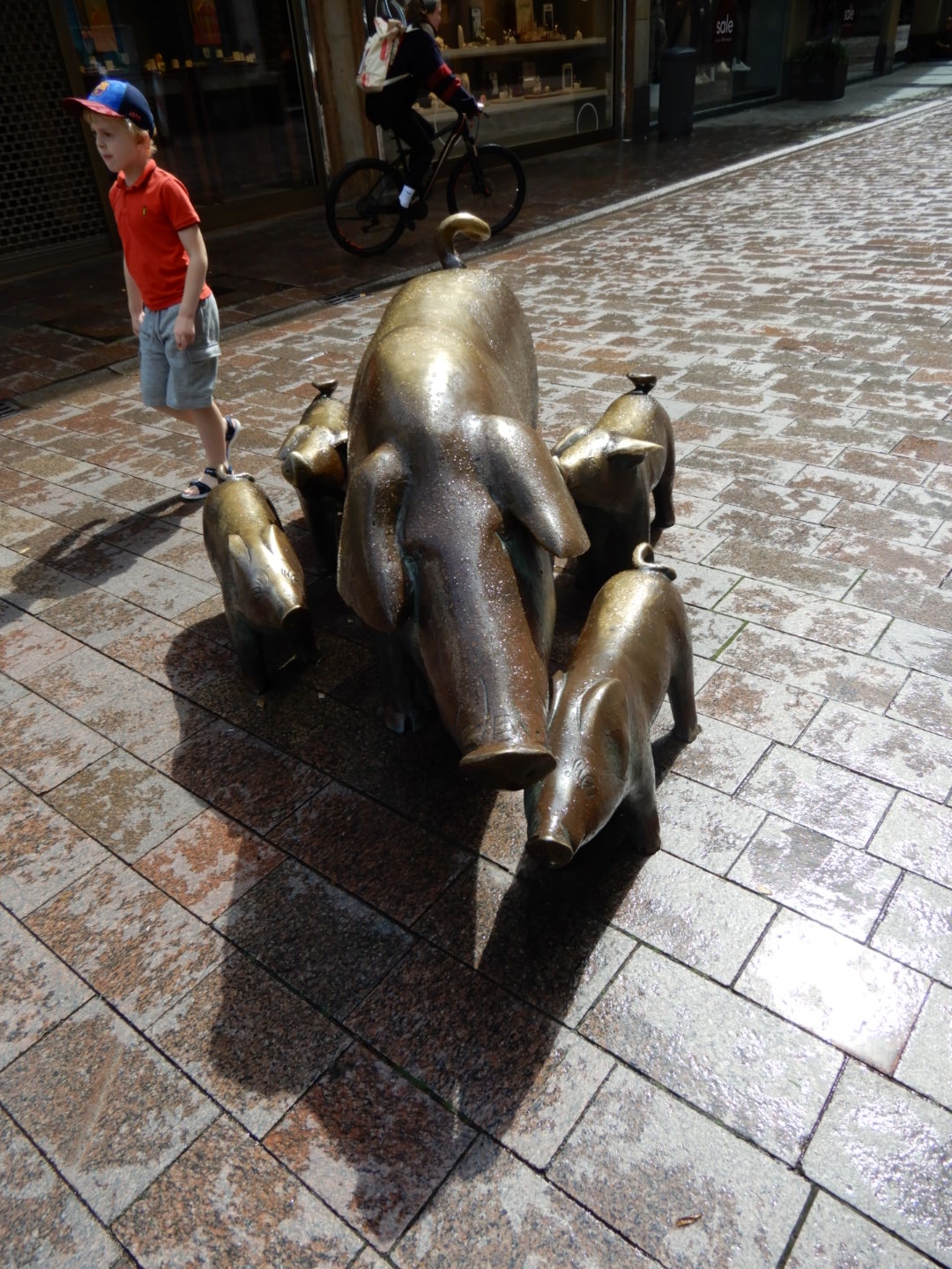 DSCN0313.JPG