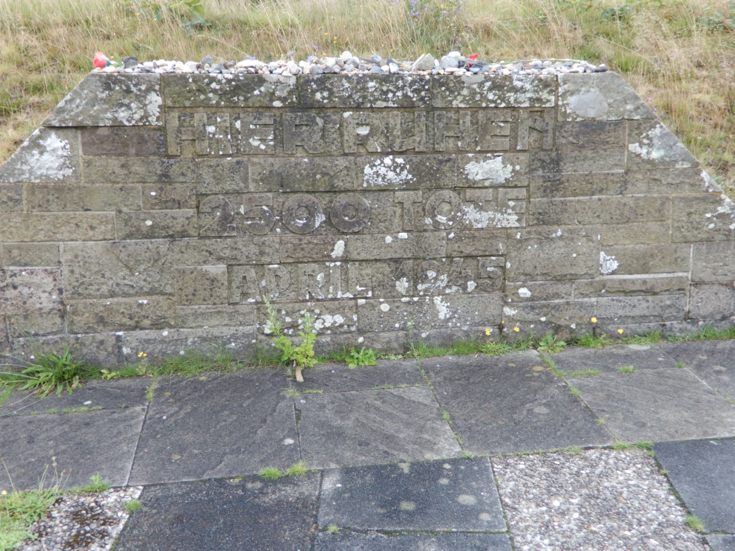 DSCN0384.JPG