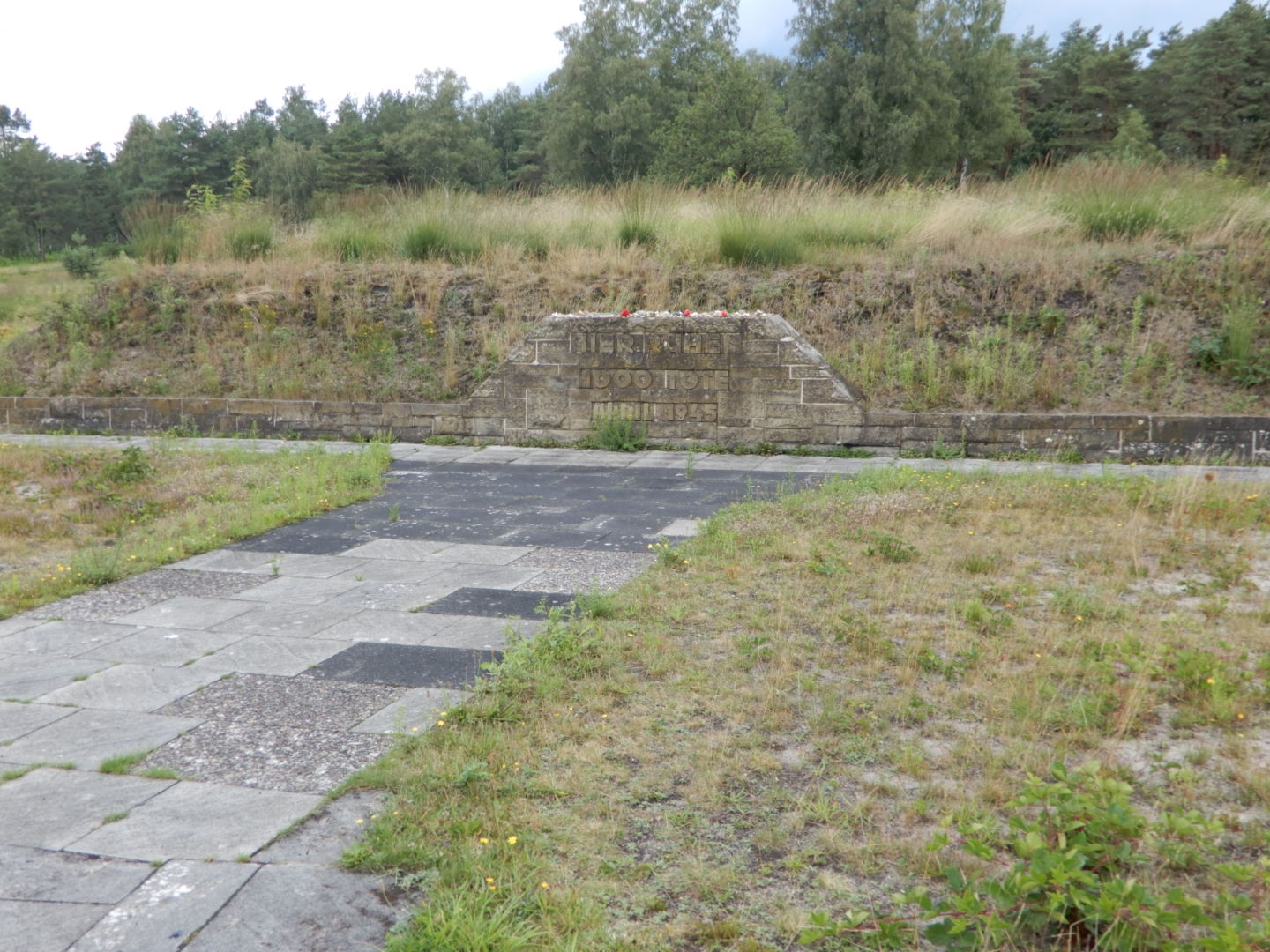 DSCN0385.JPG