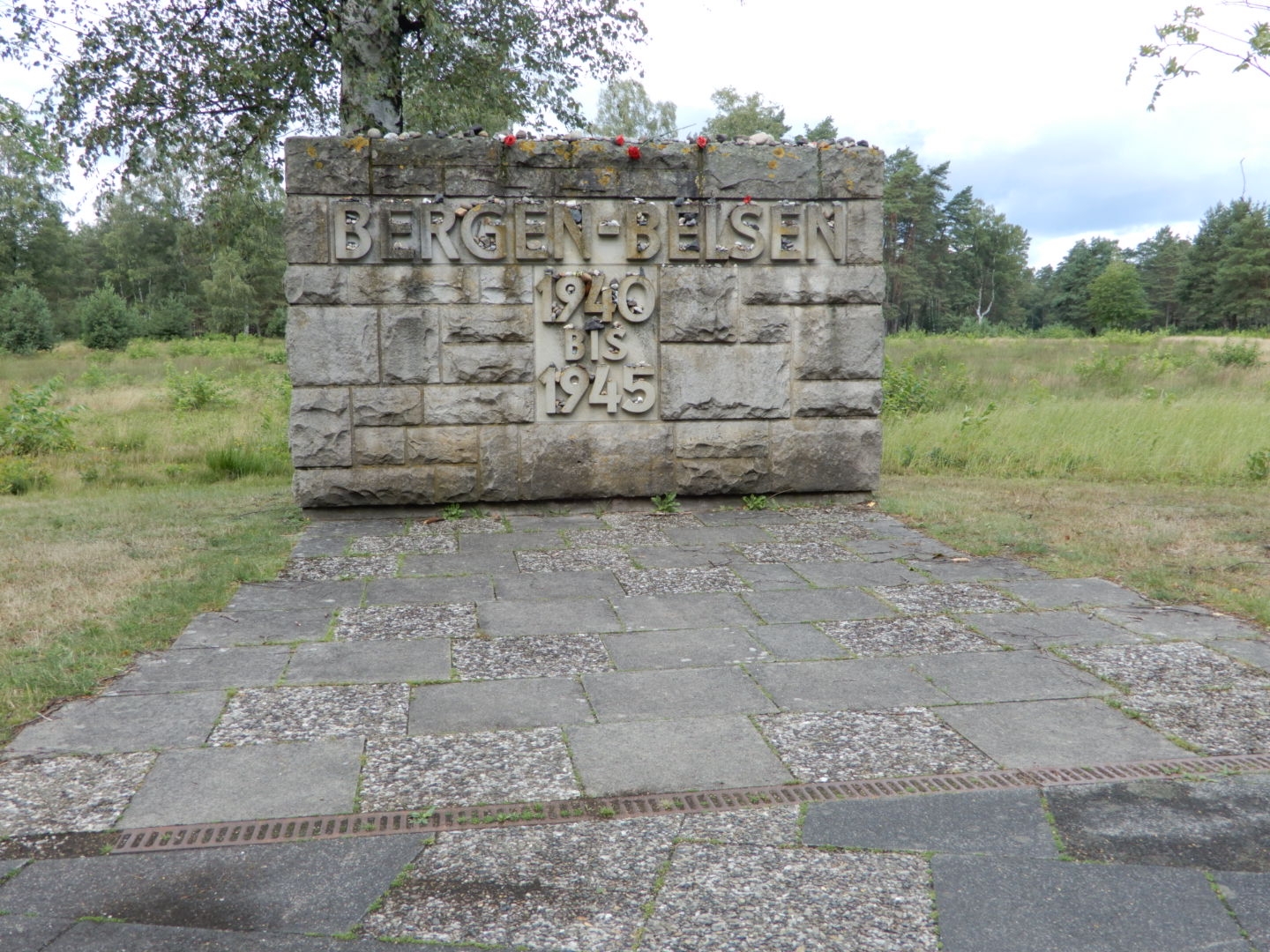 DSCN0383.JPG
