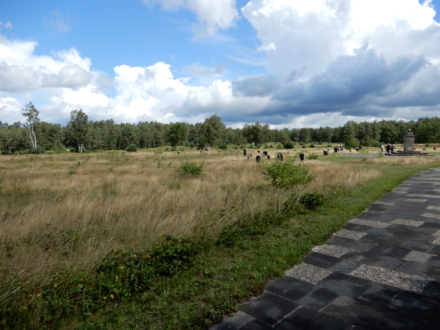 DSCN0397.JPG