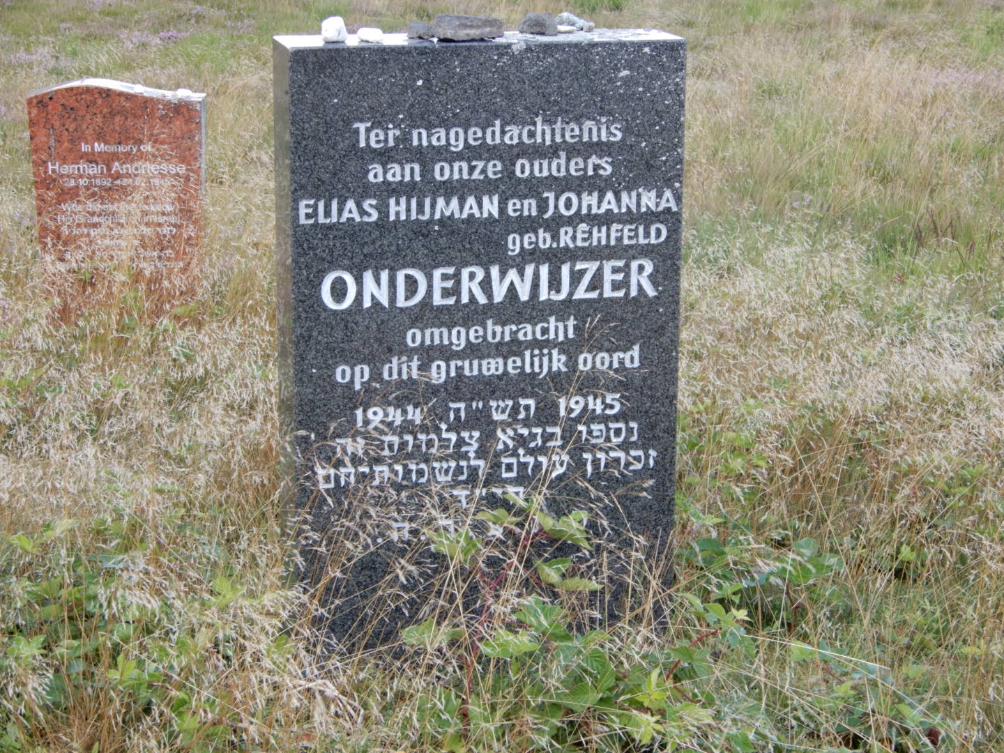 DSCN0400.JPG