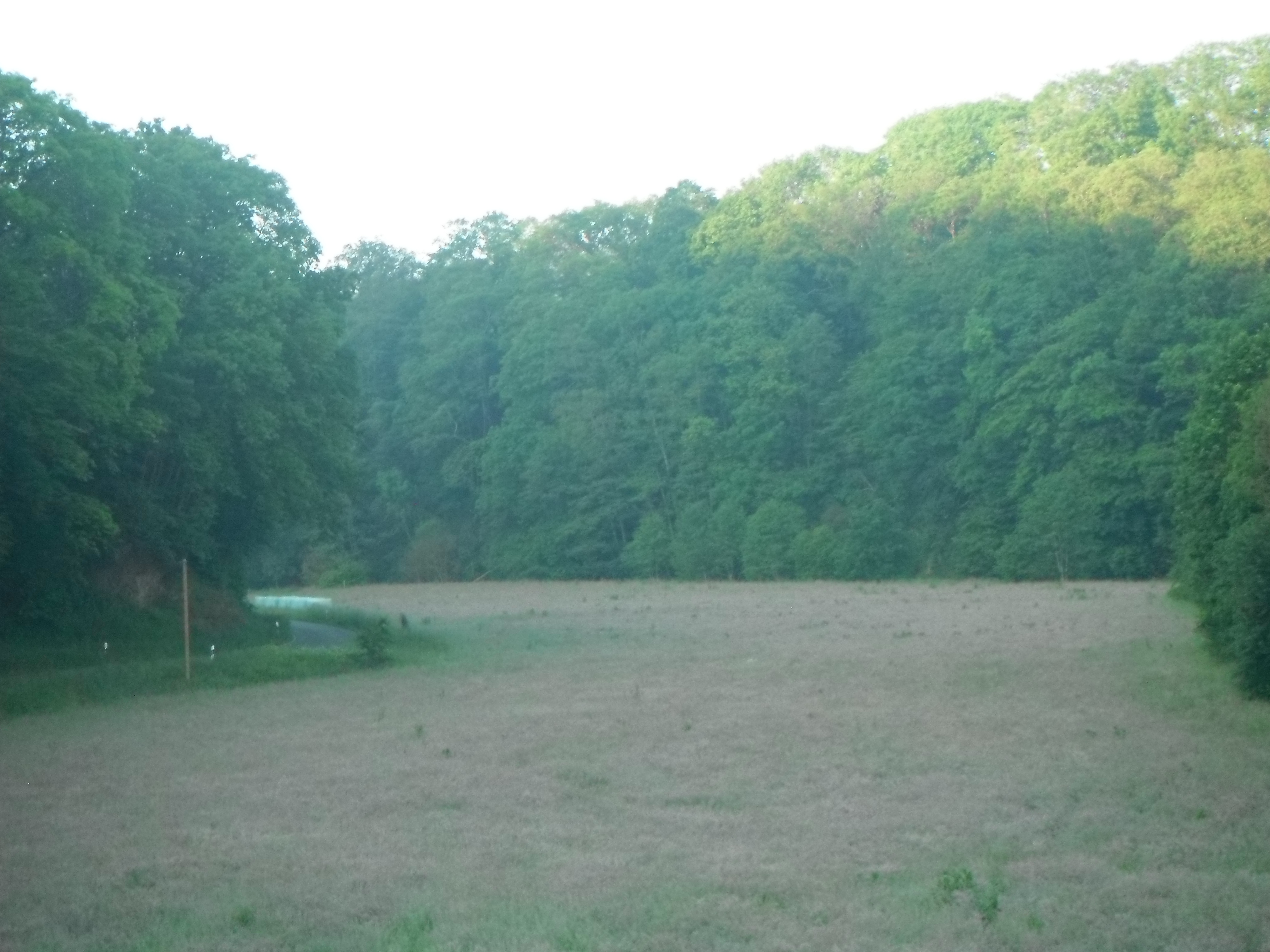 DSCF2219.JPG