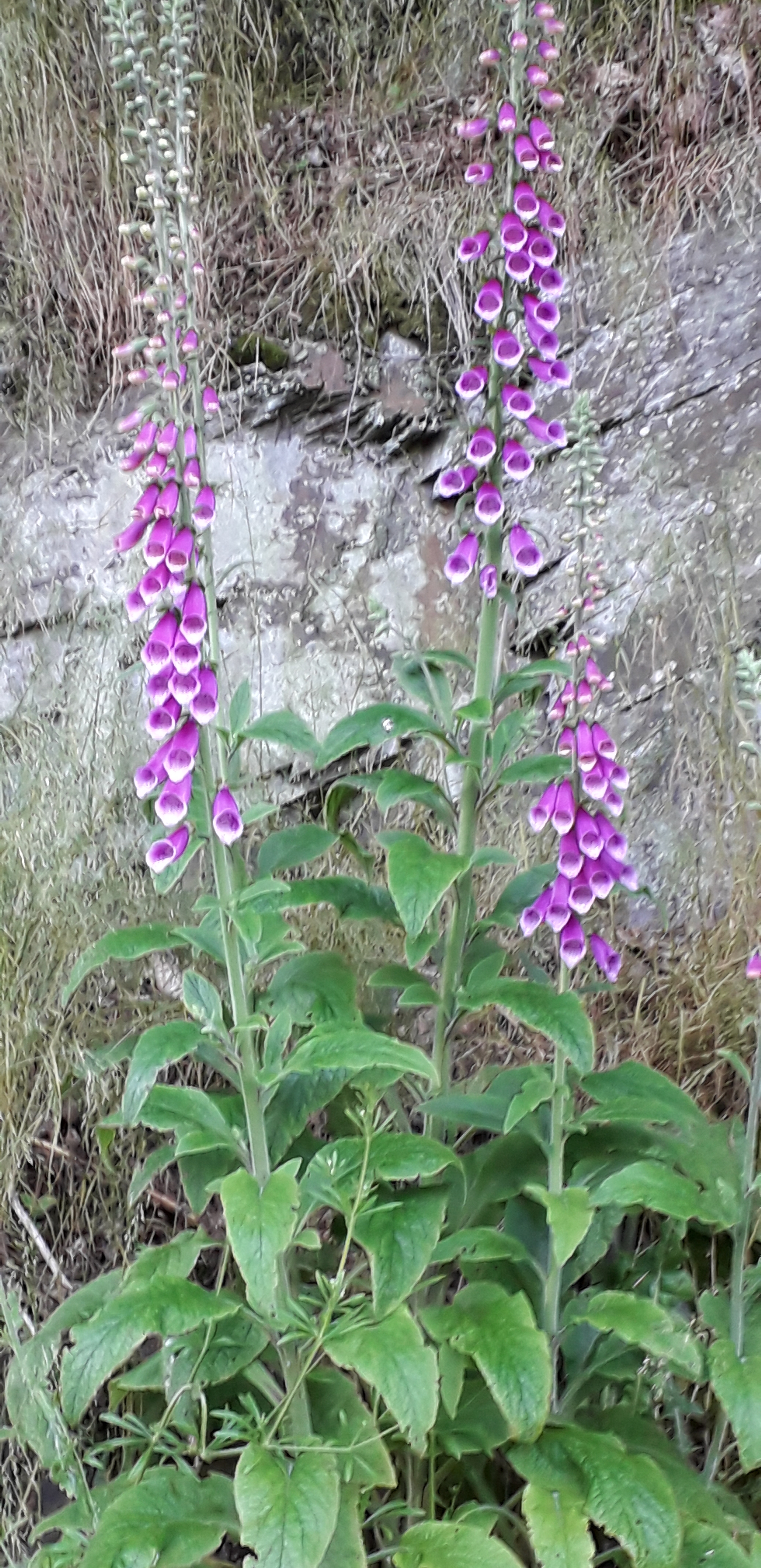 20240608_072208.jpg