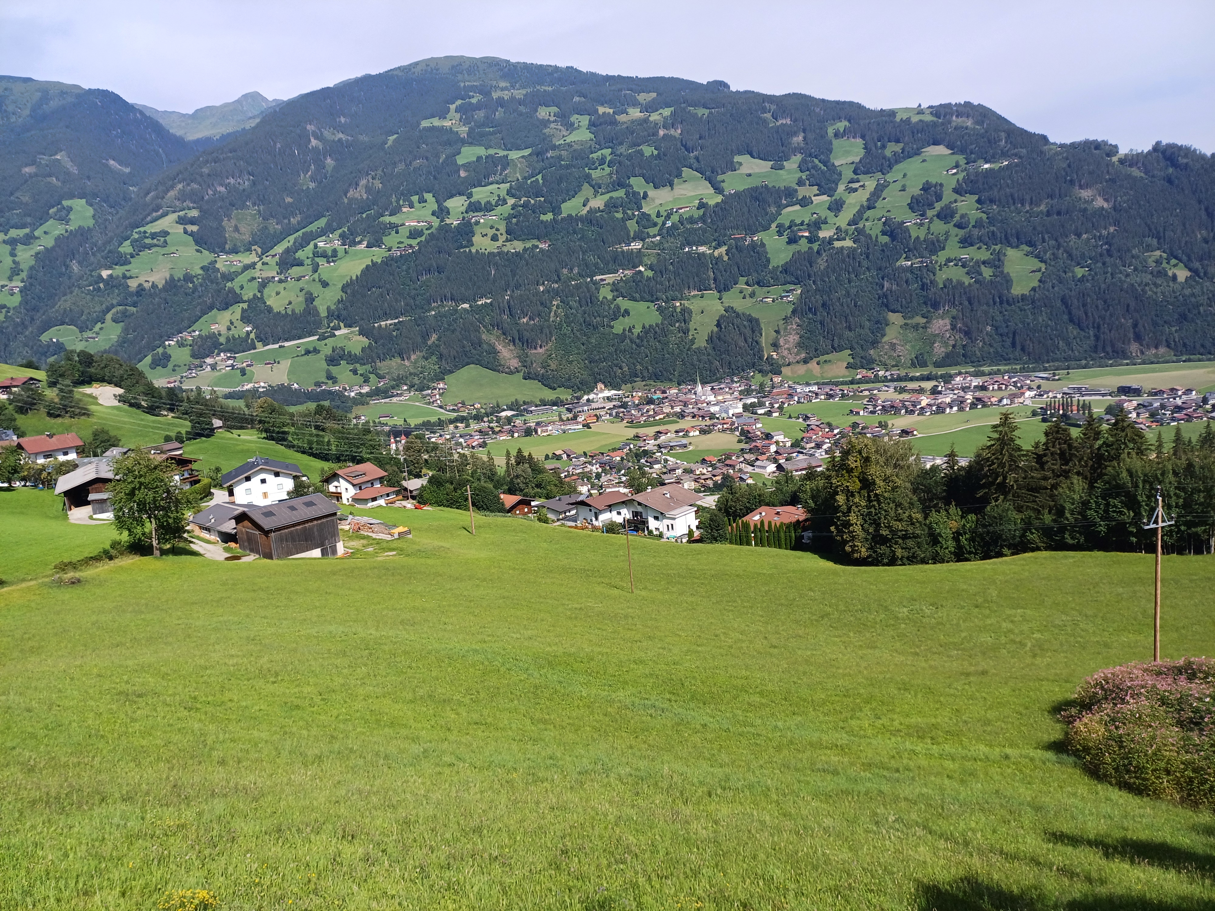 20240726_102728.jpg