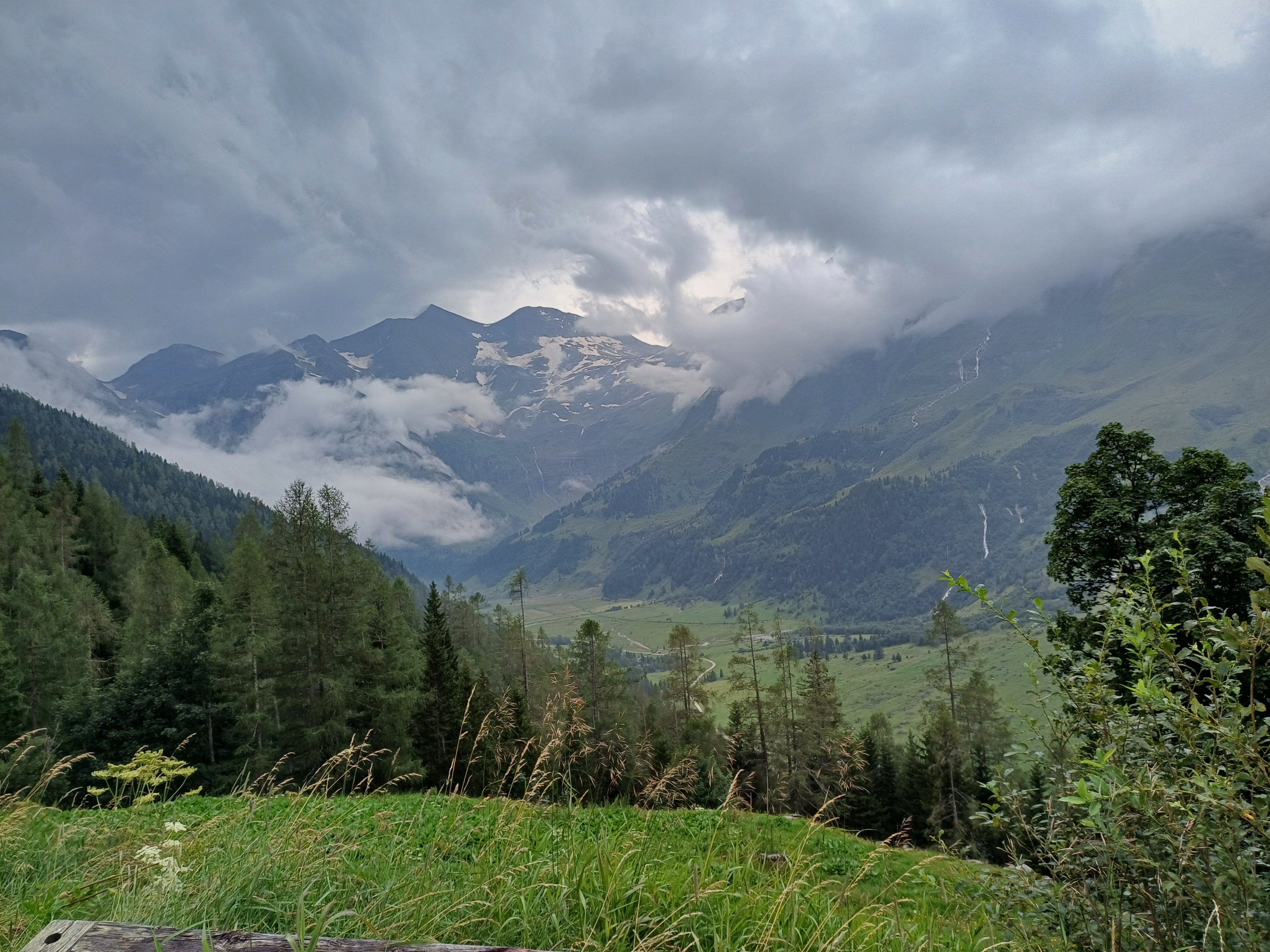 20240728_110336.jpg