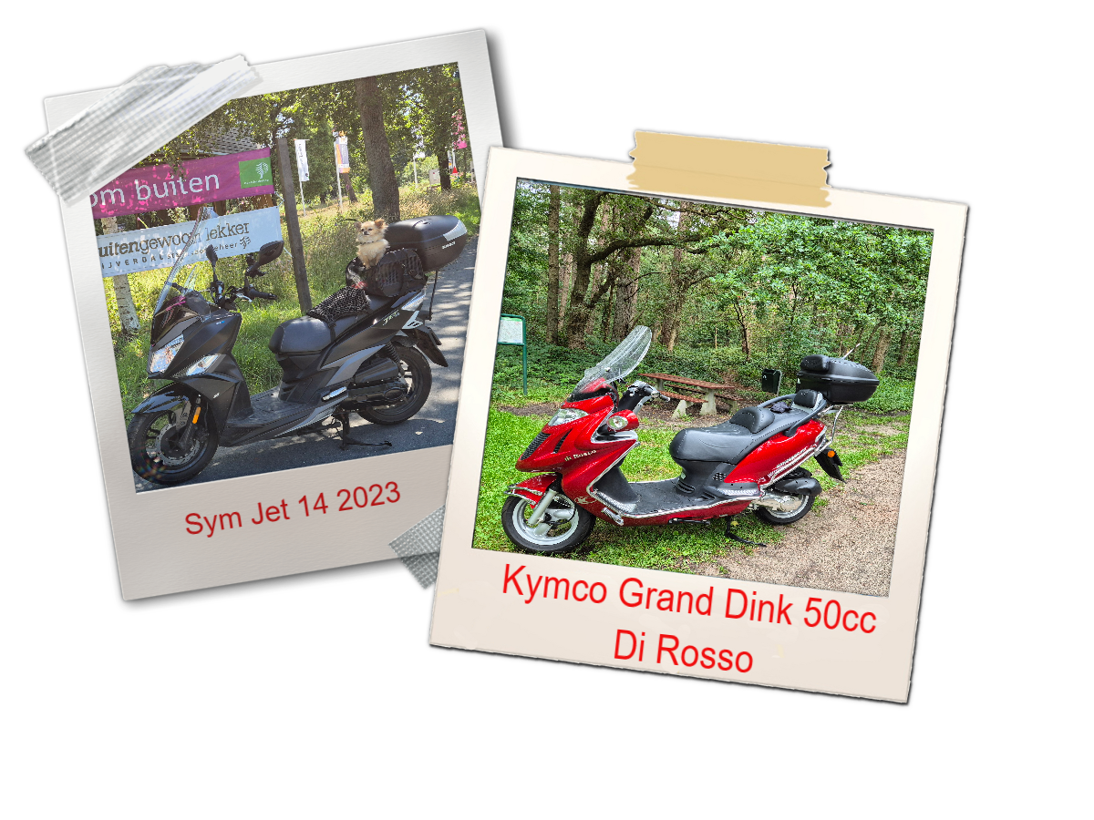 scooters.png