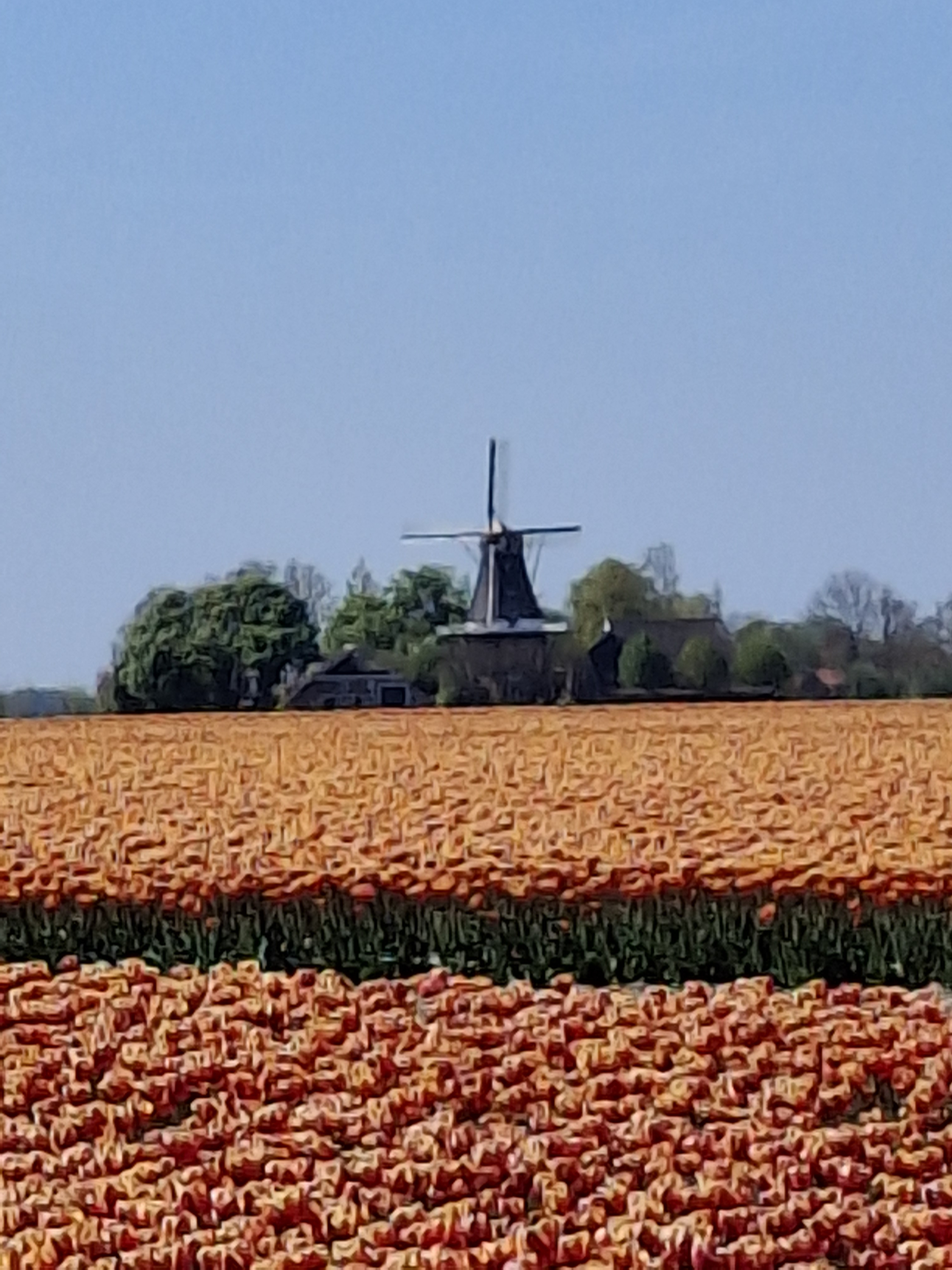 20250428_121141.jpg
