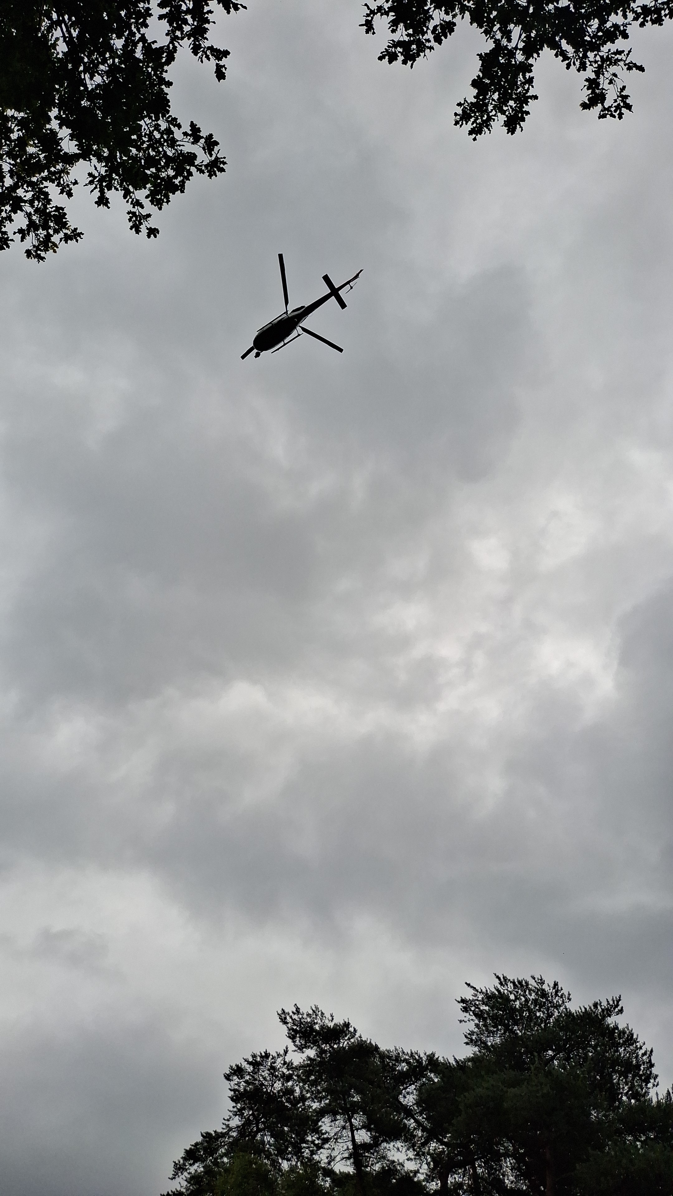 IMG-20250628-WA0005.jpeg