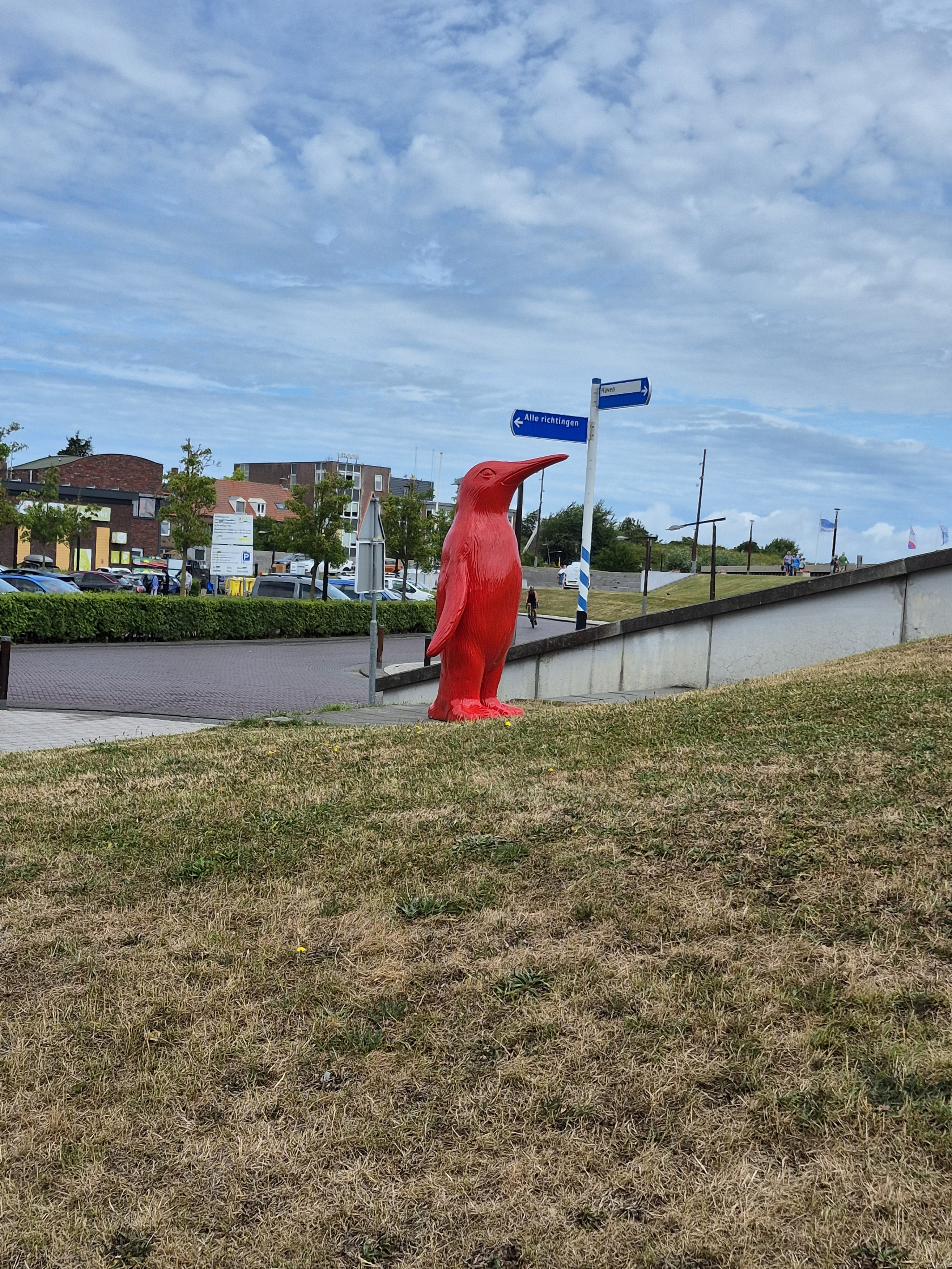 20250626_123601.jpg
