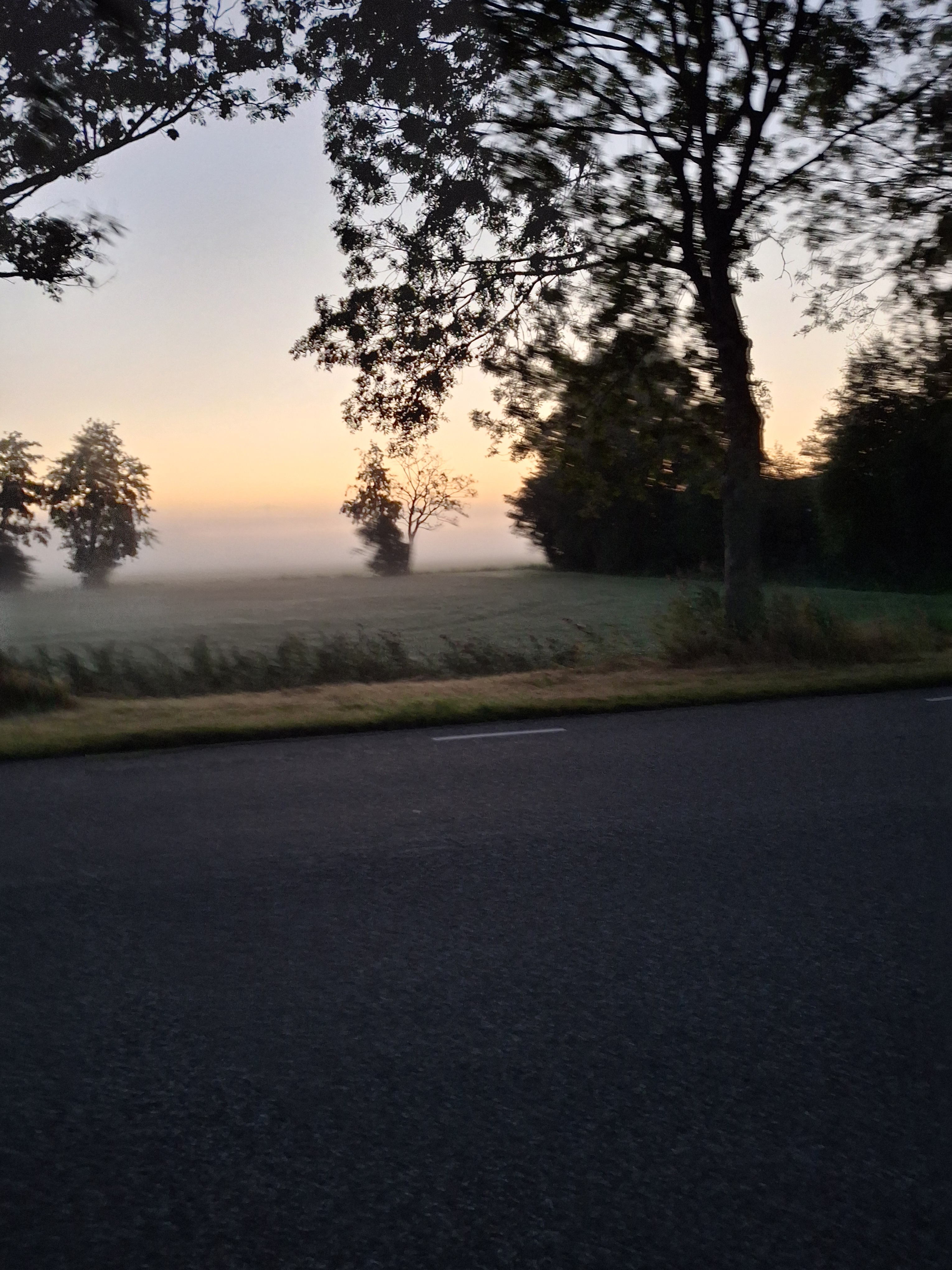 20250906_063451.jpg