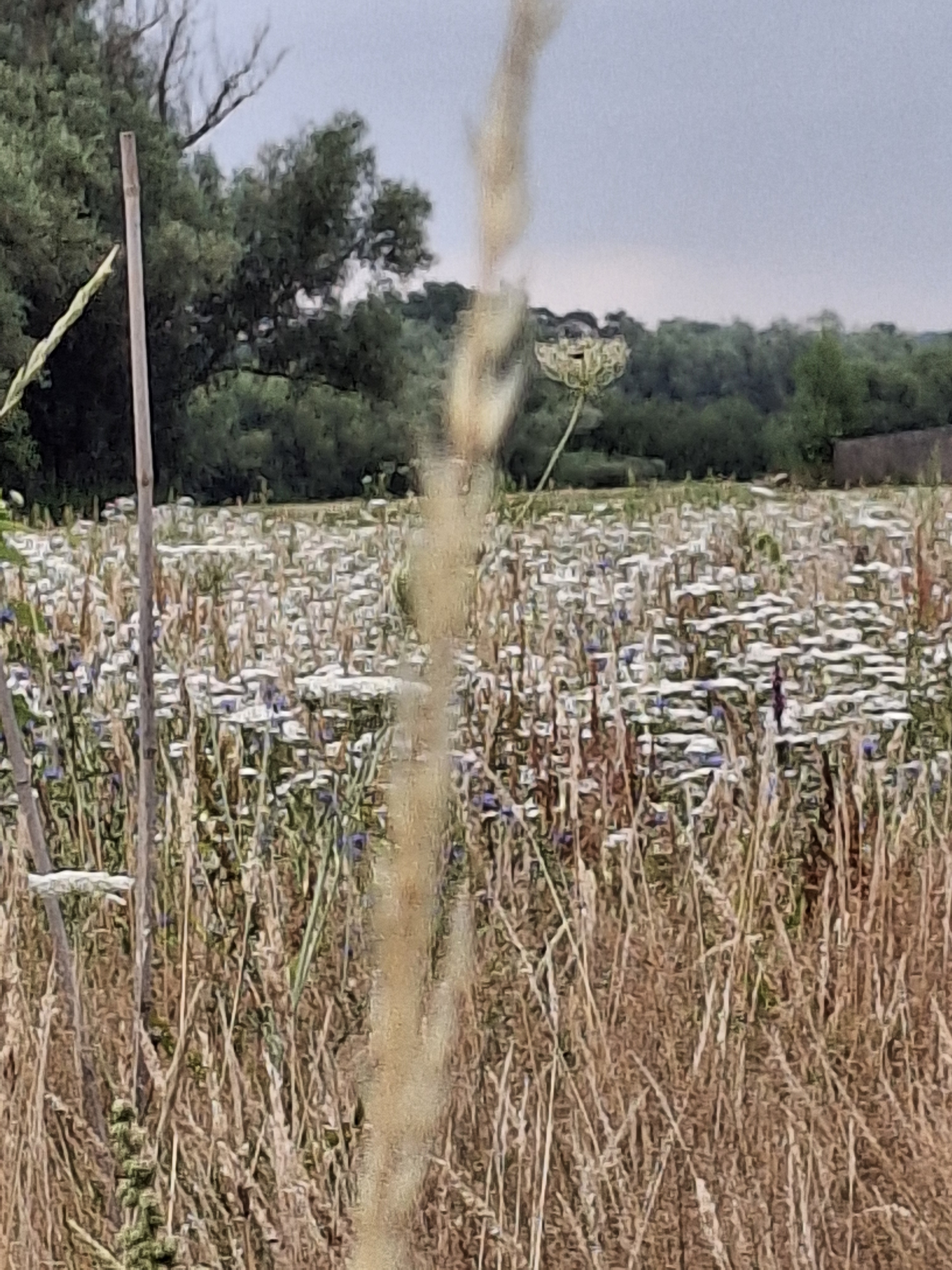 20260718_083308.jpg