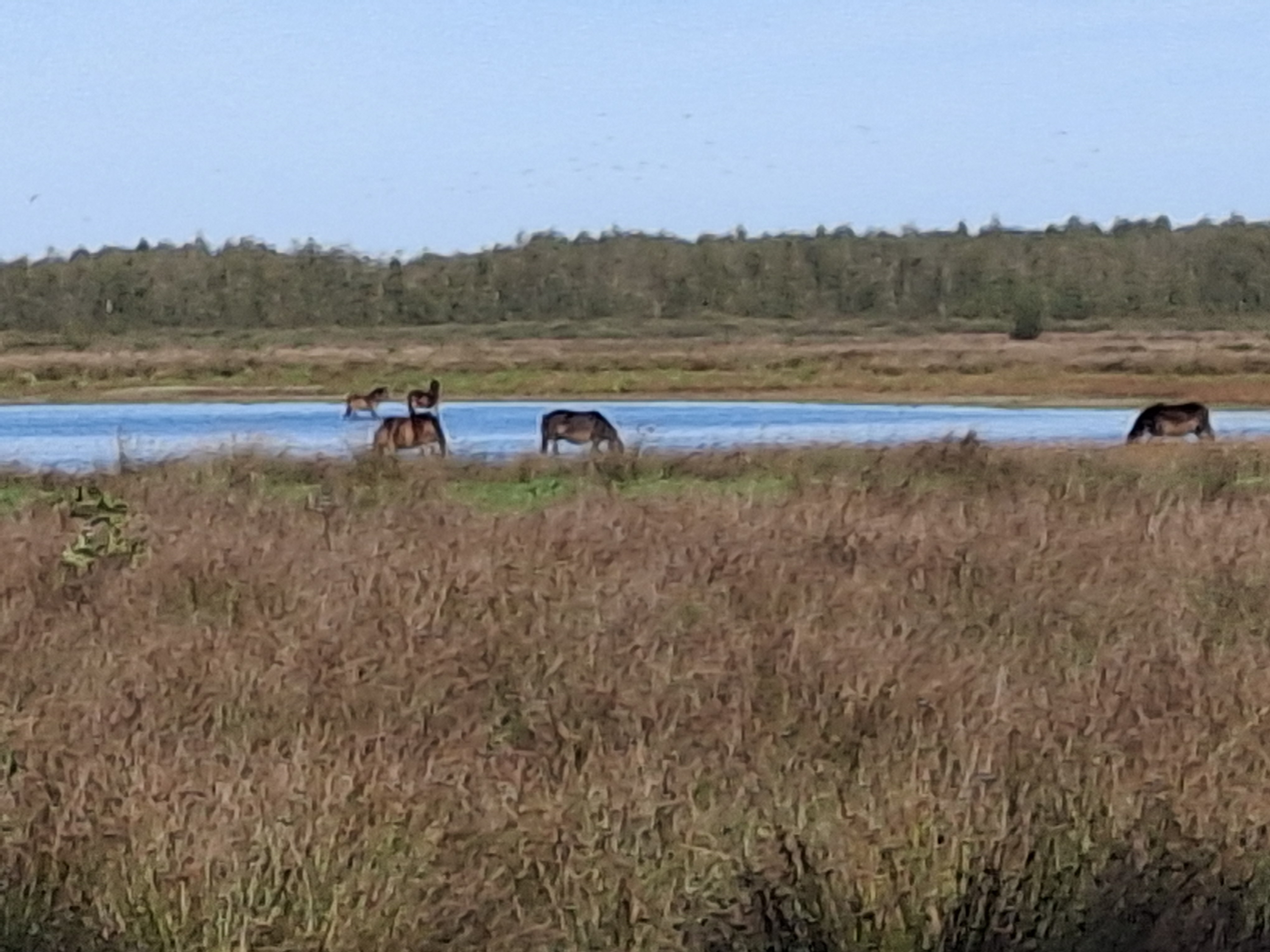 20261004_150448.jpg